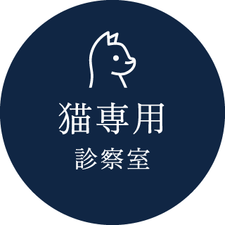 猫専用診察室